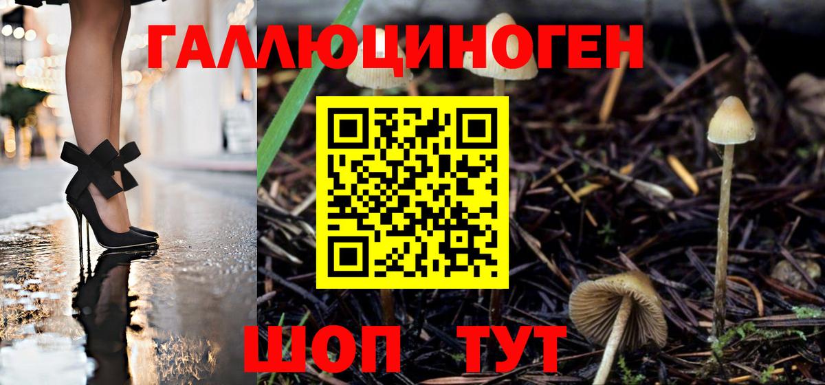 Псилоцибиновые грибы Cubensis  цена наркотик  Тара  Вход с VPN 